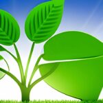 Nachhaltigkeit und grüne Innovationen