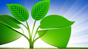 Nachhaltigkeit und grüne Innovationen