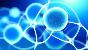 Die Unsterblichkeit des Menschen: Aktueller Stand und Überlegungen für die Zukunft