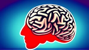 Das Gehirn: Von Glaubenssätzen bis zum Grübeln – Forschung, Herausforderungen und Trends in der Neurowissenschaft