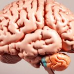 Human Brain Project: Von der Vision zur Realität