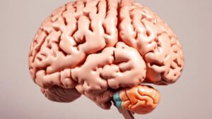 Human Brain Project: Von der Vision zur Realität