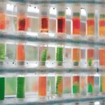 Synthetische Biologie: Die Erschaffung neuer Lebensformen