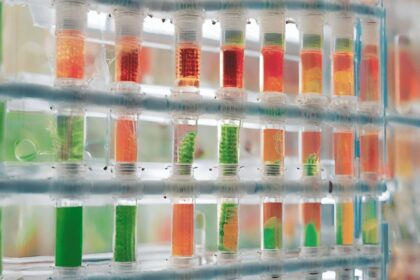 Synthetische Biologie – Die Erschaffung neuer Lebensformen