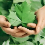 Umweltschutzabkommen: Internationale Anstrengungen für den Klimaschutz