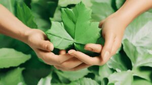 Umweltschutzabkommen: Internationale Anstrengungen für den Klimaschutz