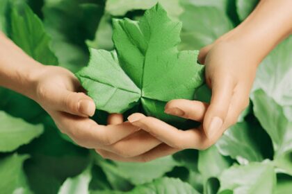 Umweltschutzabkommen – Internationale Anstrengungen für den Klimaschutz