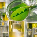 Biokraftstoffe und Wasserstoff: Nachhaltige Alternativen für die Mobilität