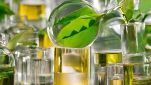 Biokraftstoffe und Wasserstoff: Nachhaltige Alternativen für die Mobilität