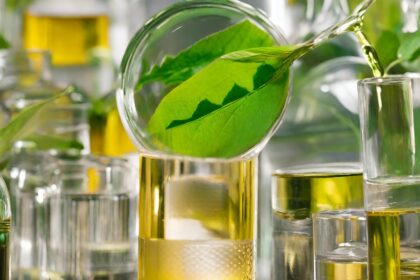 Biokraftstoffe und Wasserstoff: Nachhaltige Alternativen für die Mobilität Biokraftstoffe und Wasserstoff – Nachhaltige Alternativen für die Mobilität