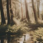 Nachhaltige Entwicklungsziele (SDGs): Die Agenda 2030 und ihre Umsetzung