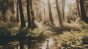 Nachhaltige Entwicklungsziele (SDGs): Die Agenda 2030 und ihre Umsetzung