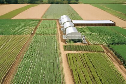 Wie viele Menschen kann die Erde ernähren? Wie viele Menschen kann die Erde ernähren?