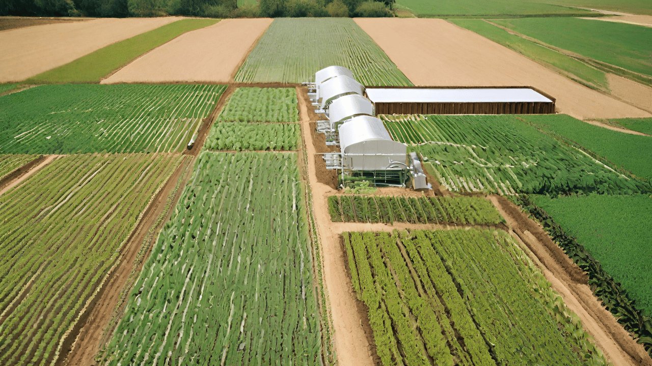 Wie viele Menschen kann die Erde ernähren?